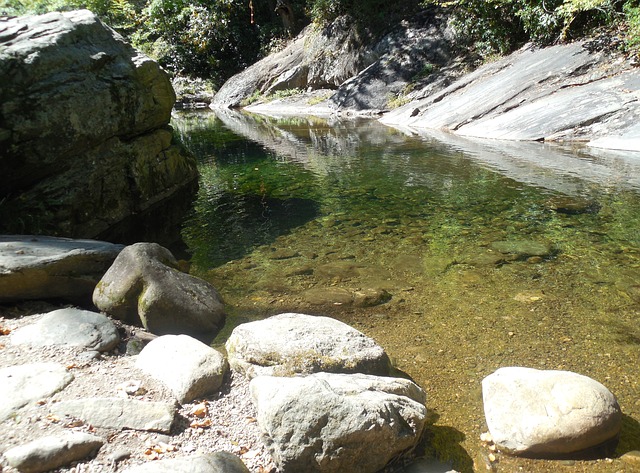 Turkey Creek Trail